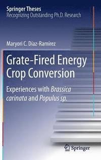 bokomslag Grate-Fired Energy Crop Conversion