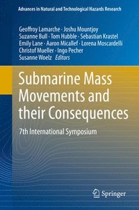 bokomslag Submarine Mass Movements and their Consequences