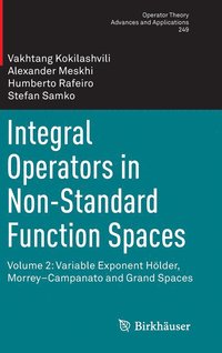 bokomslag Integral Operators in Non-Standard Function Spaces