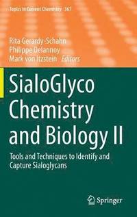 bokomslag SialoGlyco Chemistry and Biology II