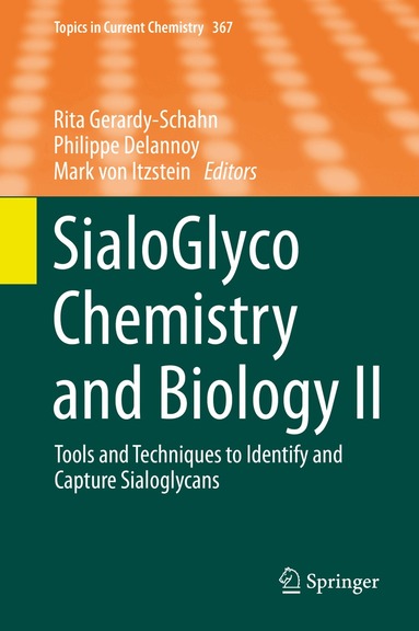 Rita Gerardy-Schahn, Philippe Delannoy, Mark von Itzstein - SialoGlyco Chemistry and Biology II, Inbunden