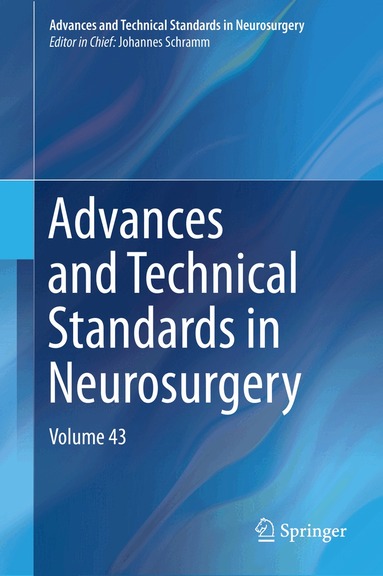 Johannes Schramm - Advances and Technical Standards in Neurosurgery, Inbunden