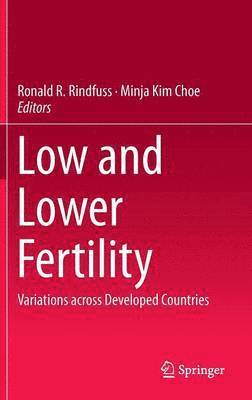 Ronald R. Rindfuss, Minja Kim Choe - Low and Lower Fertility, Inbunden