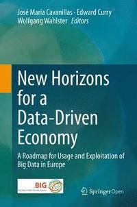 bokomslag New Horizons for a Data-Driven Economy