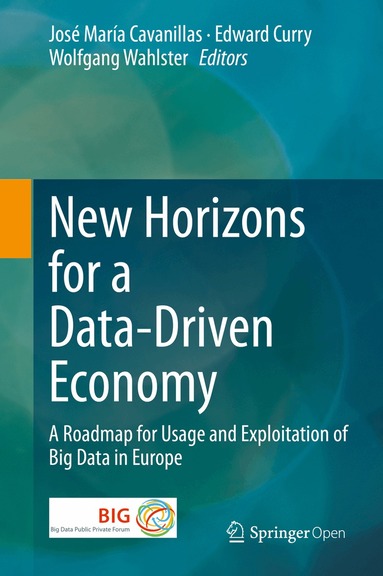 José María Cavanillas, Edward Curry, Wolfgang Wahlster - New Horizons for a Data-Driven Economy, Inbunden