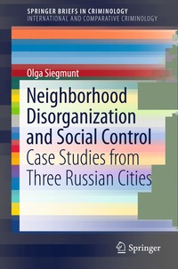 bokomslag Neighborhood Disorganization and Social Control