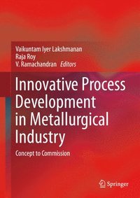 bokomslag Innovative Process Development in Metallurgical Industry
