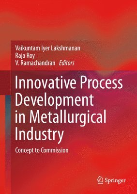 bokomslag Innovative Process Development in Metallurgical Industry