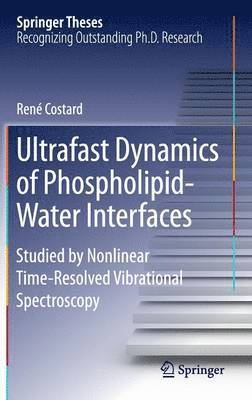 Ultrafast Dynamics of Phospholipid-Water Interfaces 1