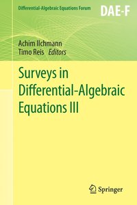 bokomslag Surveys in Differential-Algebraic Equations III
