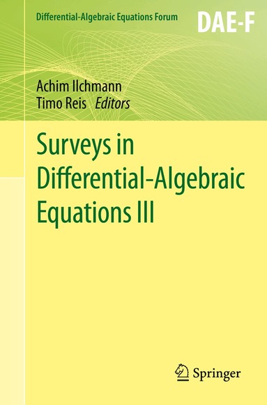 Achim Ilchmann, Timo Reis - Surveys in Differential-Algebraic Equations III, Häftad