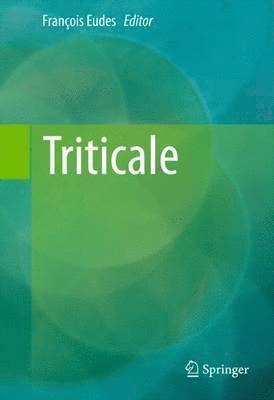 Triticale 1