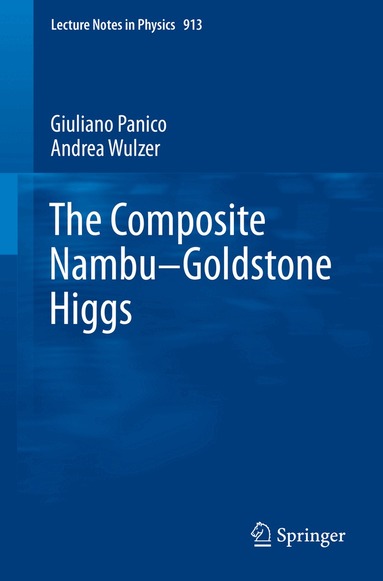 Giuliano Panico, Andrea Wulzer - Composite Nambu-Goldstone Higgs, Häftad