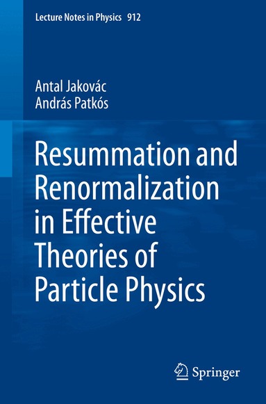 Antal Jakovác, András Patkós - Resummation and Renormalization in Effective Theories of Particle Physics, Häftad