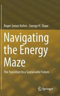 bokomslag Navigating the Energy Maze