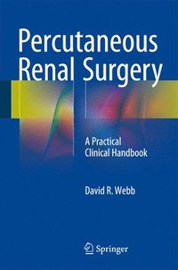 bokomslag Percutaneous Renal Surgery