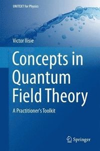 bokomslag Concepts in Quantum Field Theory