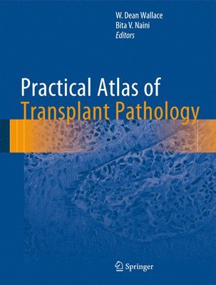 bokomslag Practical Atlas of Transplant Pathology
