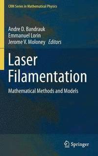 bokomslag Laser Filamentation