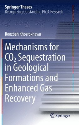 bokomslag Mechanisms for CO2 Sequestration in Geological Formations and Enhanced Gas Recovery