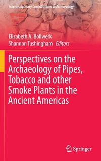 bokomslag Perspectives on the Archaeology of Pipes, Tobacco and other Smoke Plants in the Ancient Americas