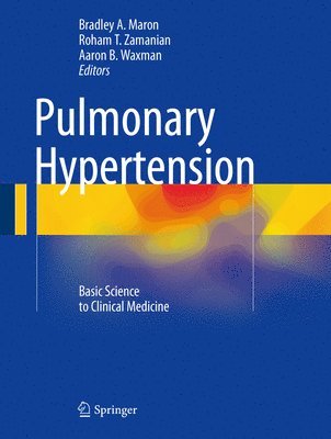 bokomslag Pulmonary Hypertension