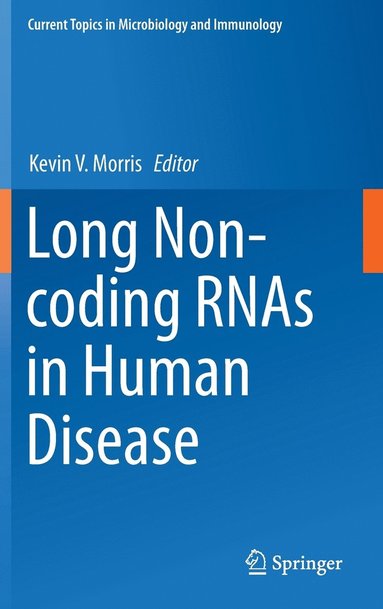 bokomslag Long Non-coding RNAs in Human Disease