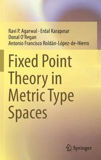 bokomslag Fixed Point Theory in Metric Type Spaces