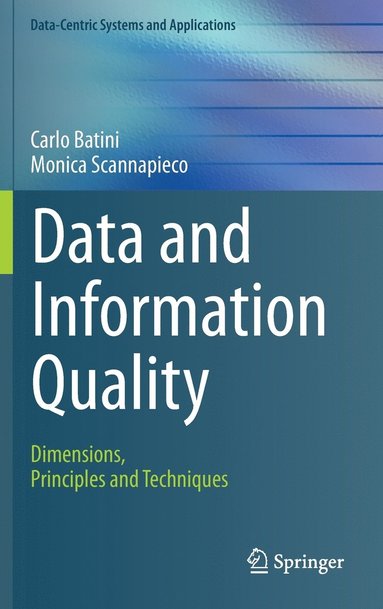 bokomslag Data and Information Quality