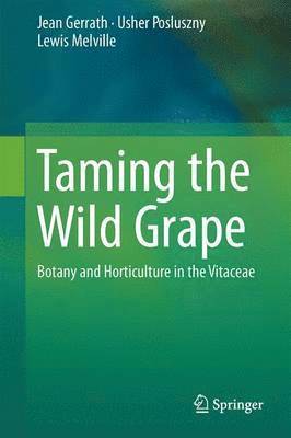 bokomslag Taming the Wild Grape