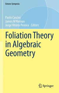 bokomslag Foliation Theory in Algebraic Geometry