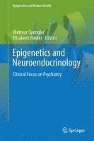 bokomslag Epigenetics and Neuroendocrinology