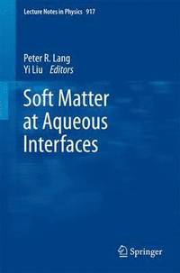 bokomslag Soft Matter at Aqueous Interfaces