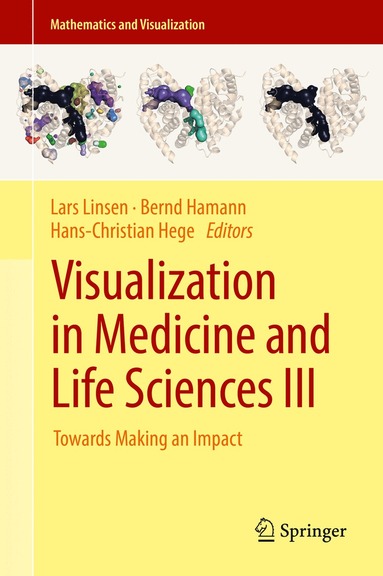 bokomslag Visualization in Medicine and Life Sciences III