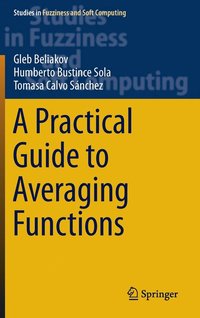 bokomslag A Practical Guide to Averaging Functions