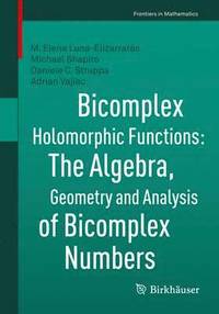 bokomslag Bicomplex Holomorphic Functions