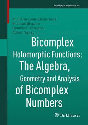 Bicomplex Holomorphic Functions 1
