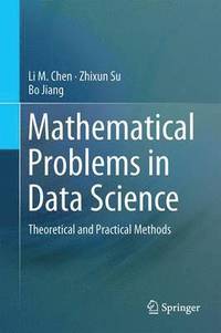 bokomslag Mathematical Problems in Data Science