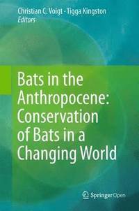 bokomslag Bats in the Anthropocene: Conservation of Bats in a Changing World