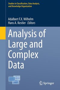 bokomslag Analysis of Large and Complex Data