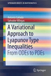 bokomslag A Variational Approach to Lyapunov Type Inequalities