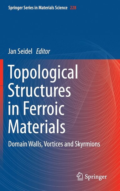 bokomslag Topological Structures in Ferroic Materials