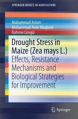 bokomslag Drought Stress in Maize (Zea mays L.)