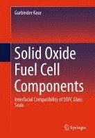 Solid Oxide Fuel Cell Components 1