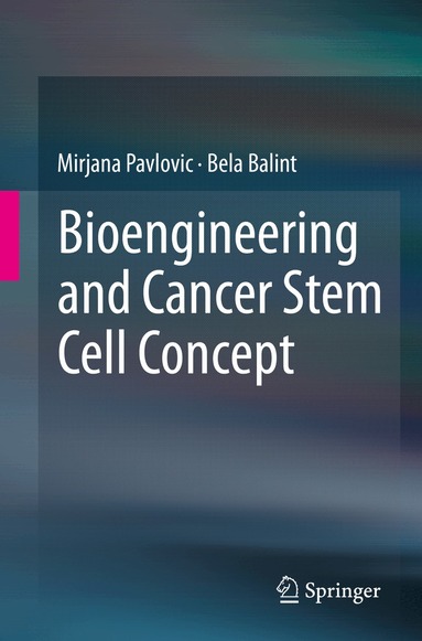 Mirjana Pavlovic, Bela Balint - Bioengineering and Cancer Stem Cell Concept, Häftad
