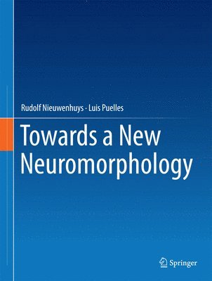 Towards a New Neuromorphology 1