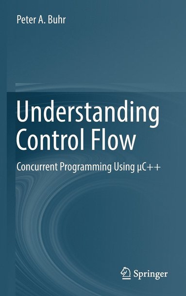 bokomslag Understanding Control Flow