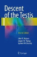 Descent of the Testis 1