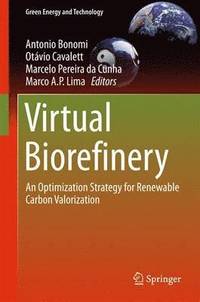 bokomslag Virtual Biorefinery