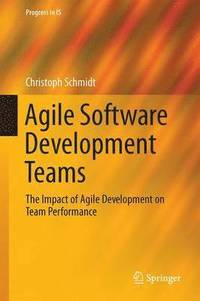 bokomslag Agile Software Development Teams